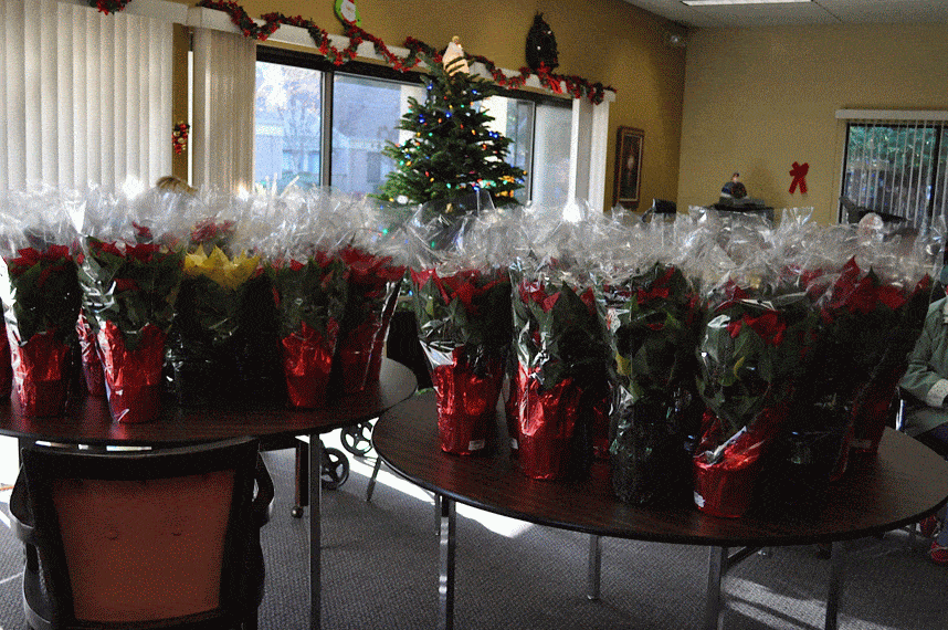 Poinsettia Party at Vigil Lights 2013