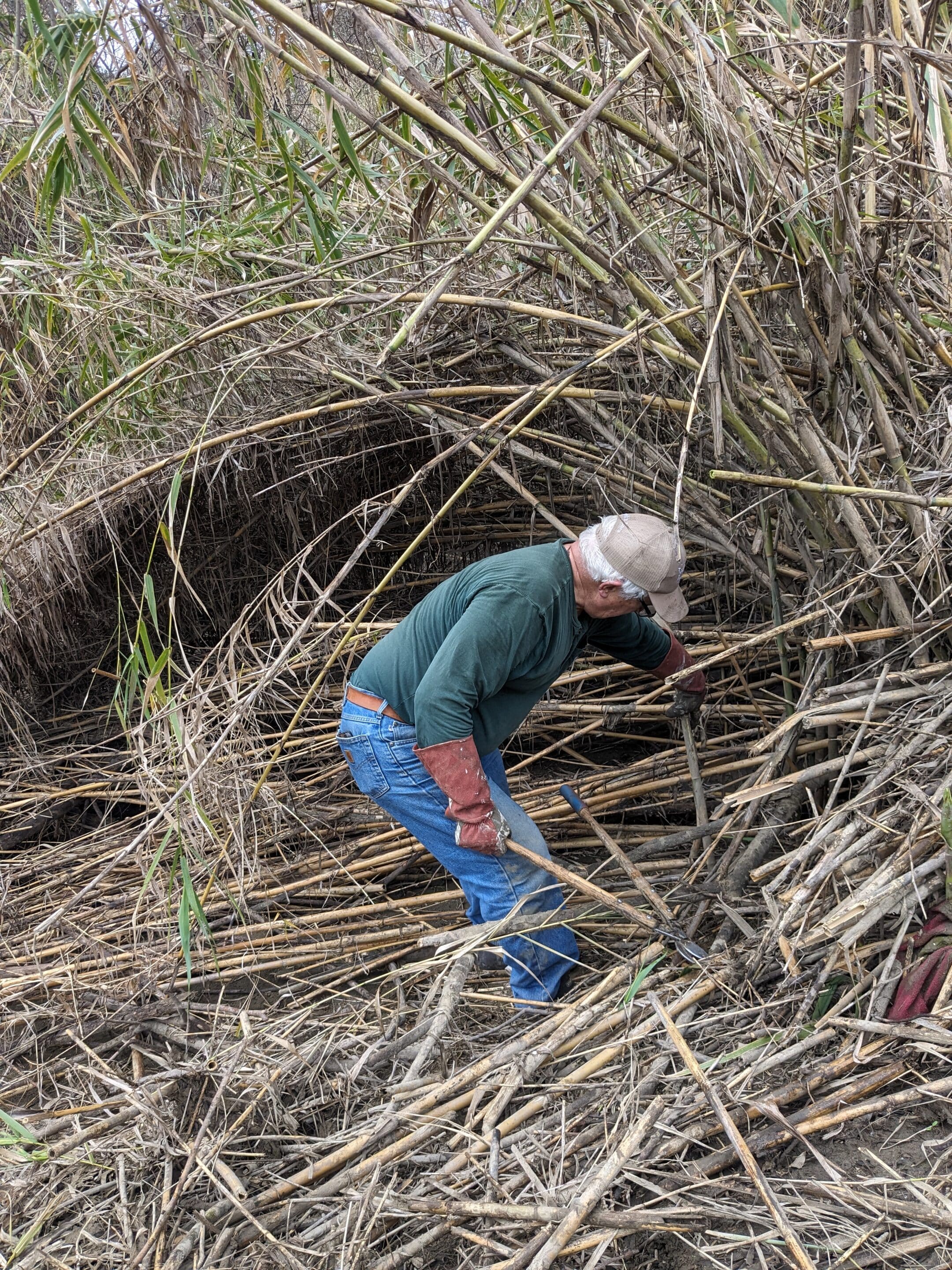 Arundo Clean Up – March 9, 2024